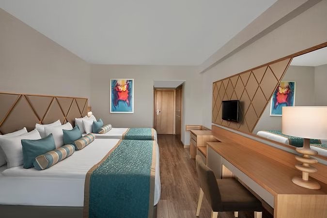 Standart Kara Manzaralı