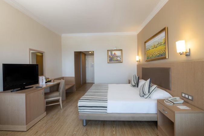 Standart Kara Manzaralı
