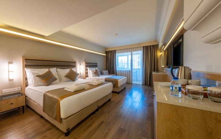 Standart Kara Manzaralı