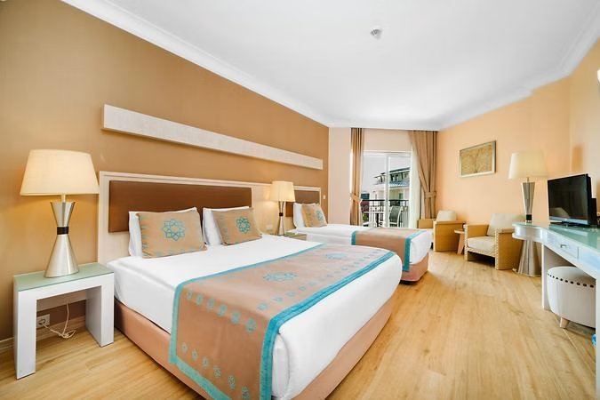 Standart Kara Manzaralı